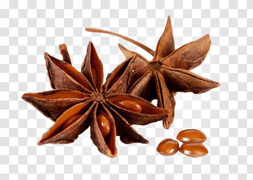 Spice Star Anise Foeniculum Vulgare Flavor - Illicium Verum Transparent PNG