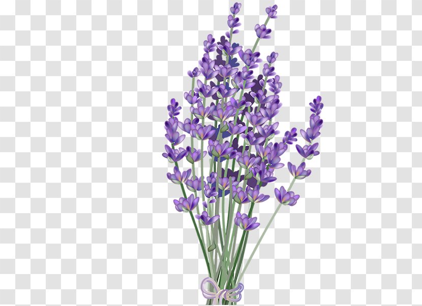 Lavender Flower Clip Art - Color Transparent PNG