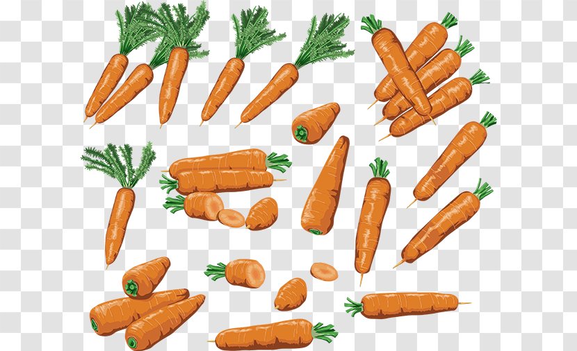 Baby Carrot Clip Art - Vienna Sausage - Daucus Carota Transparent PNG