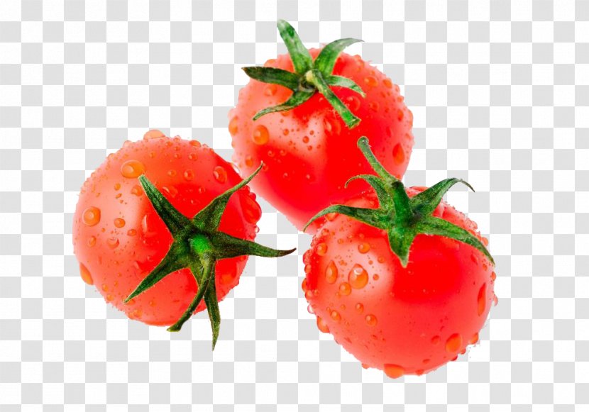 Tomato Juice Cherry Vegetable Auglis Food - Potato - Fresh Tomatoes Transparent PNG