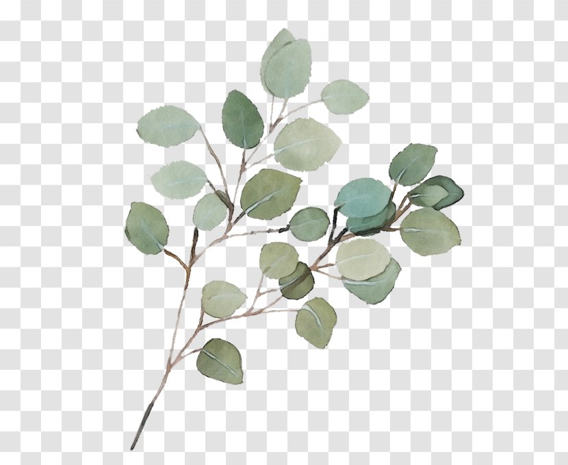 Leaf Flower Plant Branch Tree - Twig Flowering Transparent PNG