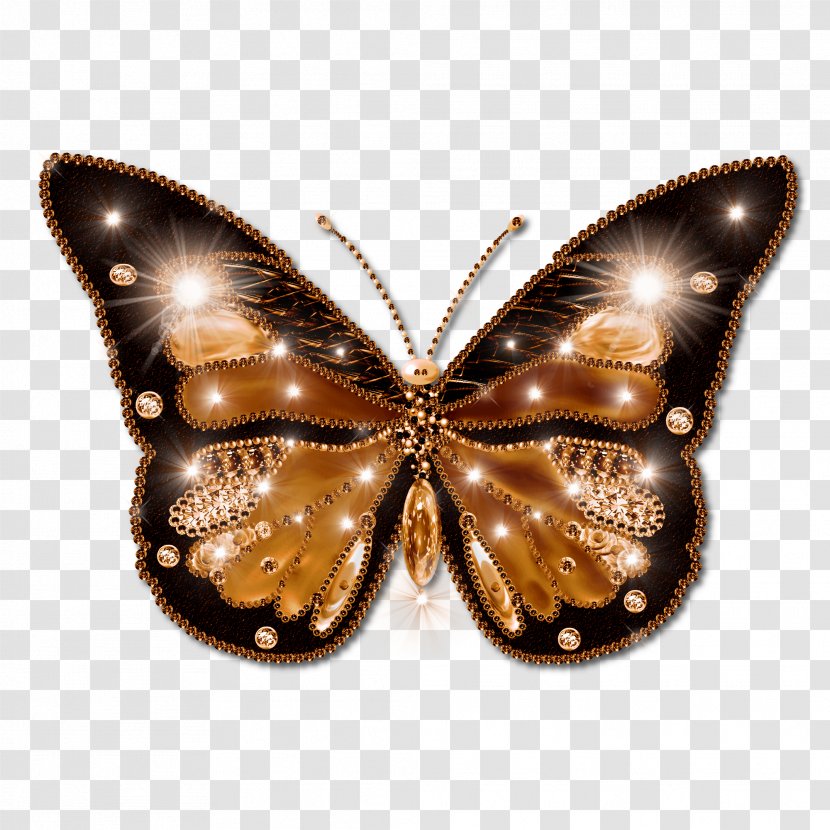 Butterfly Desktop Wallpaper Clip Art - Image Resolution - Beautiful Transparent PNG