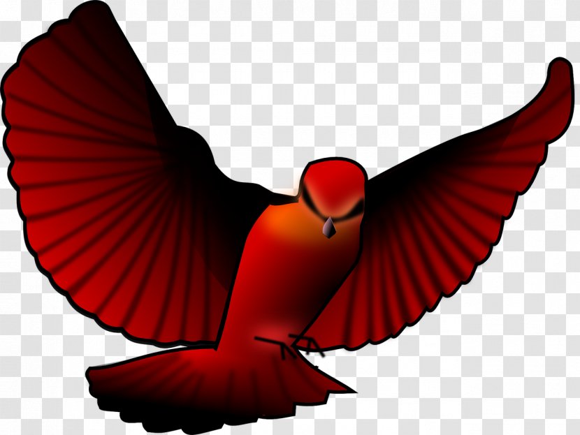 Bird Clip Art Openclipart Northern Cardinal - Beak Transparent PNG