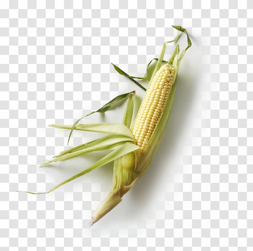 Corn On The Cob Latin American Cuisine Mexican Maize Hominy - Husk Transparent PNG