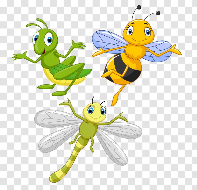 Honey Bee Clip Art Insect Illustration Image - Animal Figure Transparent PNG