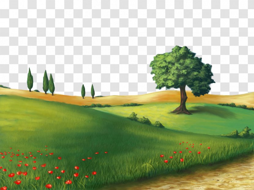 Natural Landscape Nature Grassland Green Environment - Hill Tree Transparent PNG