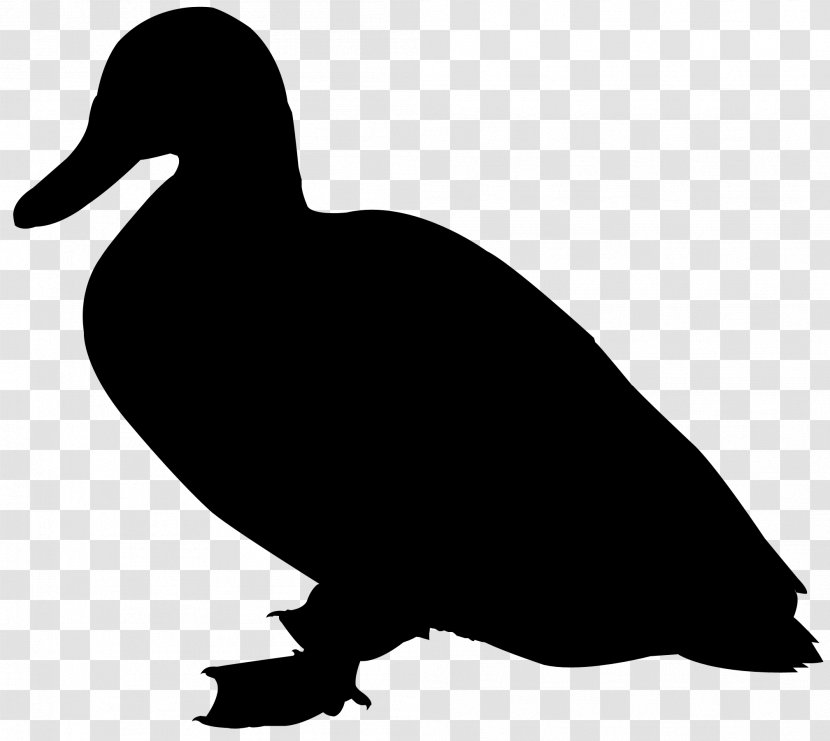 Duck Goose Clip Art Fowl Fauna - Waterfowl Transparent PNG