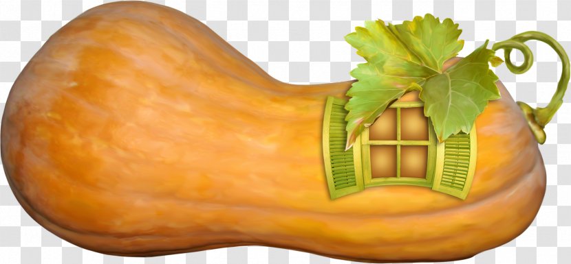 Pumpkin Calabaza Cucurbita Maxima Gourd Winter Squash - Cucumber And Melon Family - Vegetables Icons Picture Material,Pumpkin House Transparent PNG