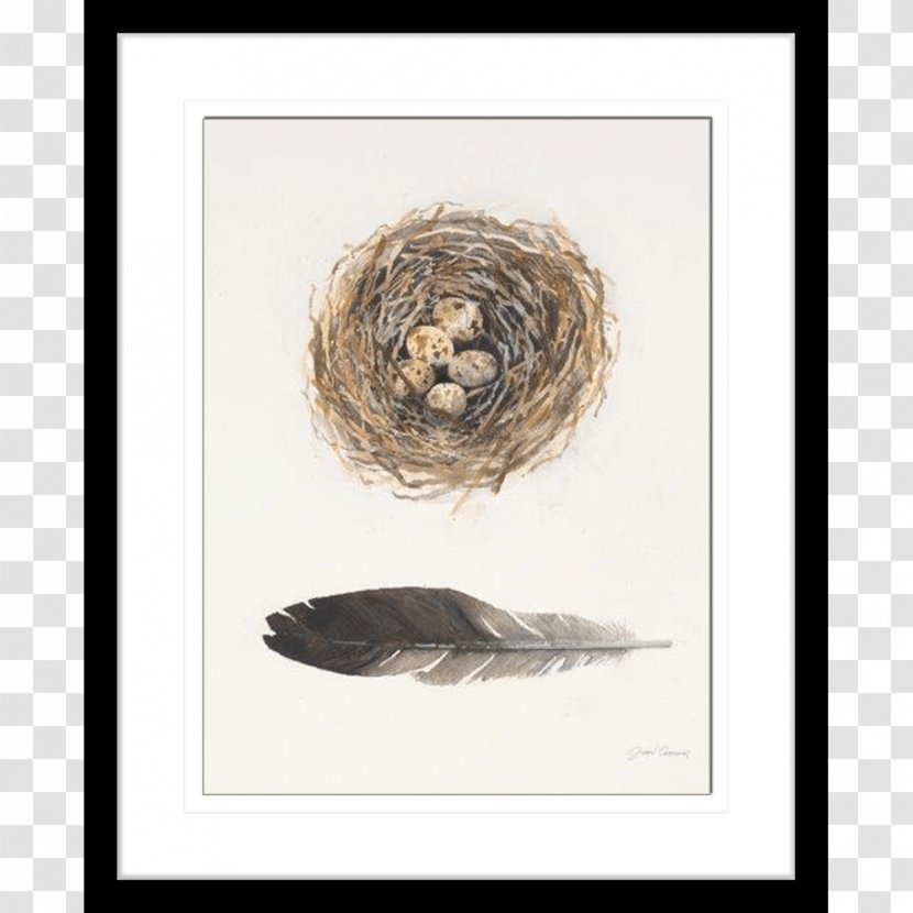 Watercolor Painting Oil Art - Bird Nest Transparent PNG