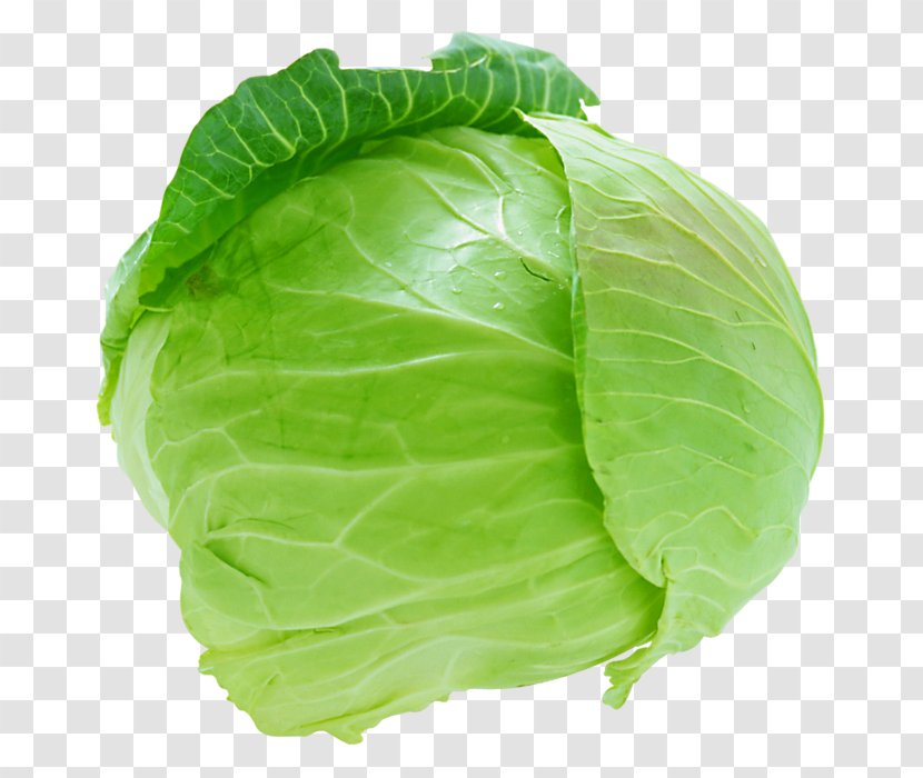 Cabbage Cauliflower Coleslaw Leaf Vegetable - Brussels Sprout Transparent PNG