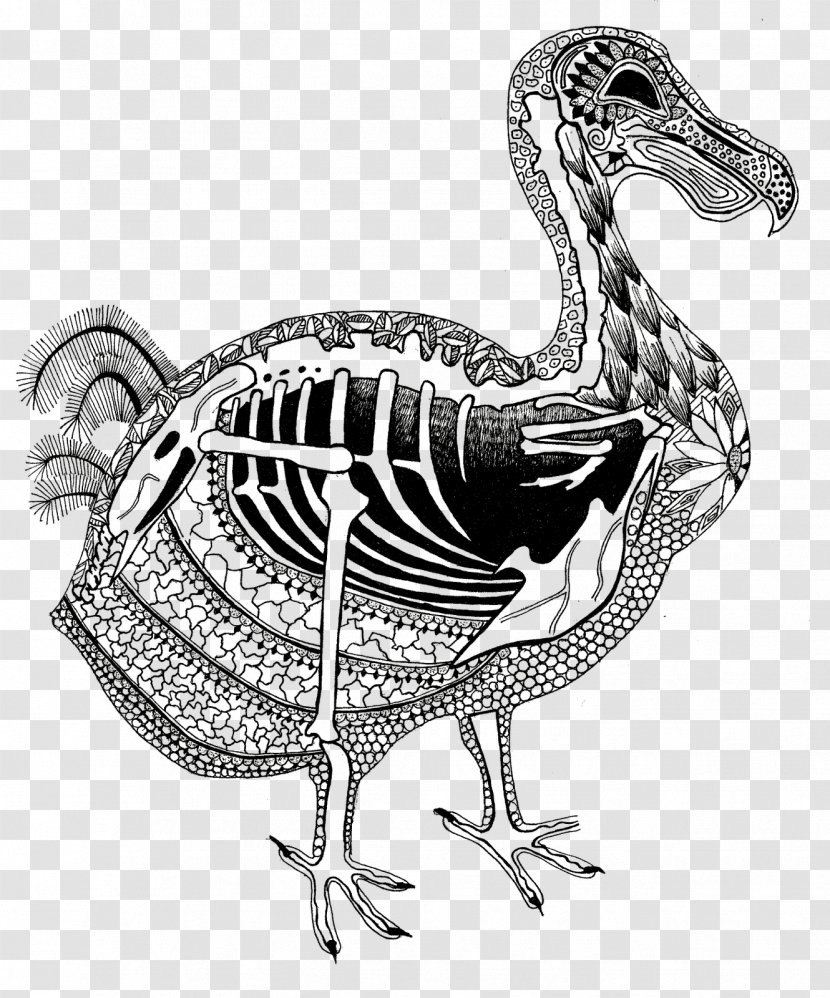 Chicken Duck Flightless Bird Dodo - Body Jewelry Transparent PNG