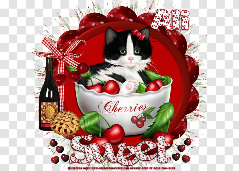 Kitten Whiskers Christmas Ornament Cherry Fruit - Cat Transparent PNG