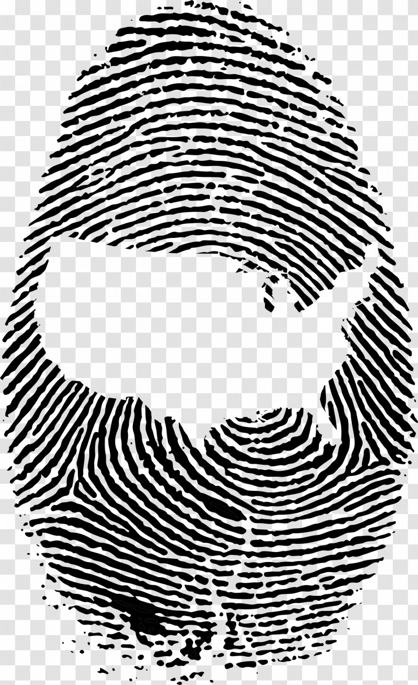 Fingerprint Live Scan Clip Art - Thumb - Finger Print Transparent PNG