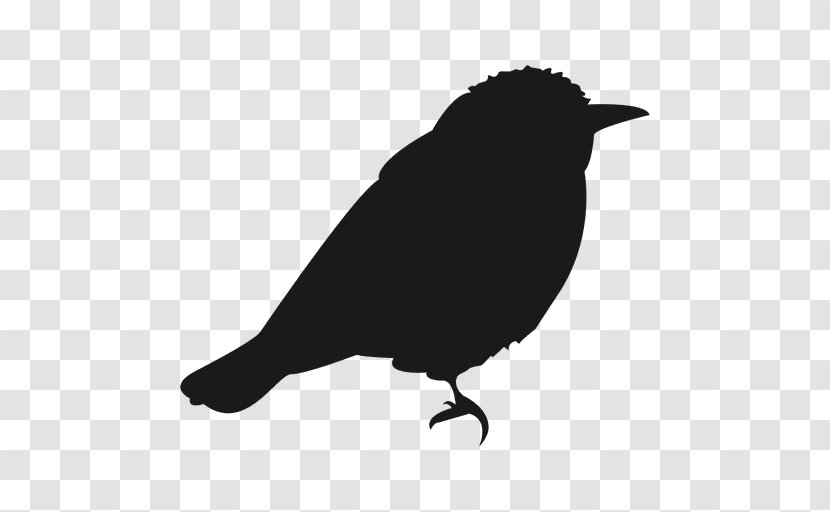 Bird Silhouette Vector Graphics Euclidean Passerine - Wing - Crow Material Transparent PNG