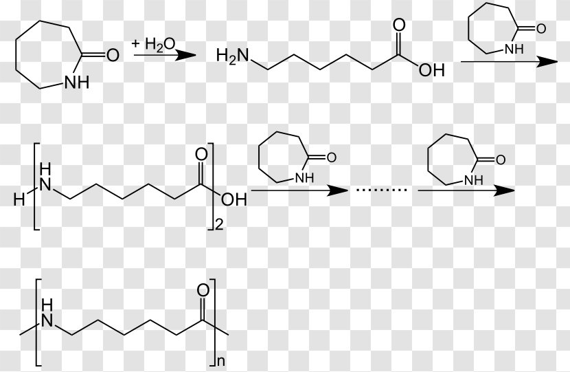 Polyamide Nylon 6 Caprolactam Polymerization - Diagram Transparent PNG