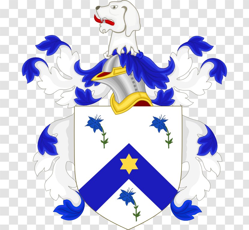 United States Coat Of Arms Ireland Crest Heraldry - John Adams Transparent PNG