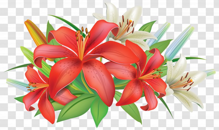 Pink Flowers Easter Lily Clip Art - Petal - Red Lilies Decoration Clipart Image Transparent PNG