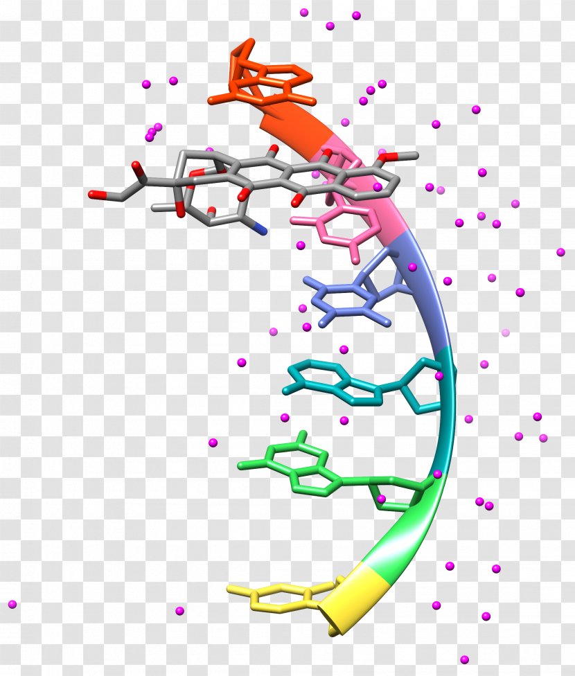 DNA Docking Molecule Organic Chemistry - Dna - Dynamic Water Transparent PNG
