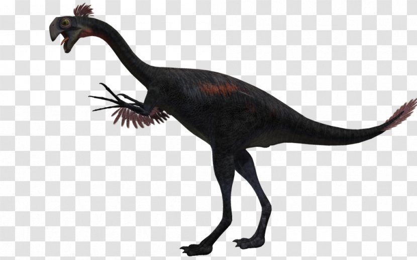 Gigantoraptor Velociraptor Alectrosaurus Bird Agathaumas Transparent PNG