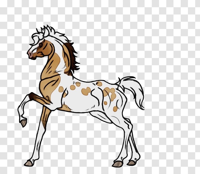 Horse Animal Figure Mane Line Art Mare - Mustang - Stallion Transparent PNG