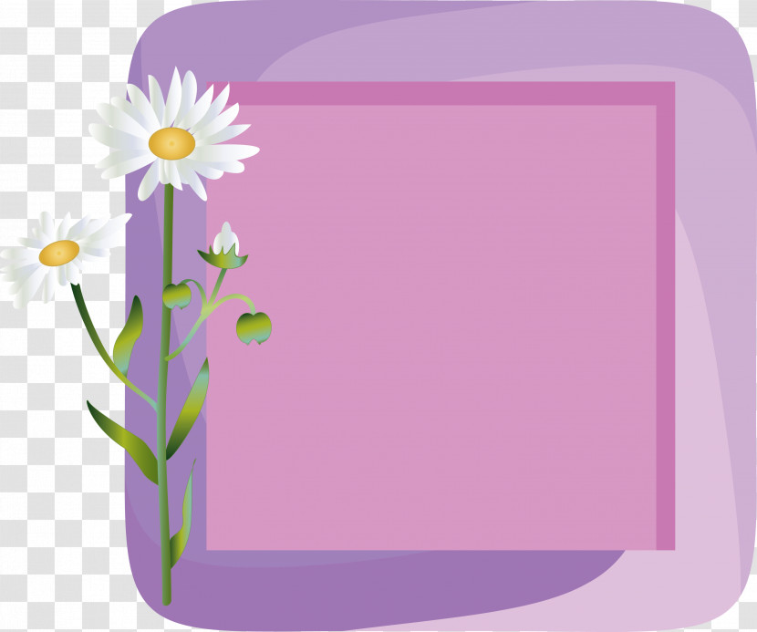 Flower Photo Frame Flower Frame Photo Frame Transparent PNG