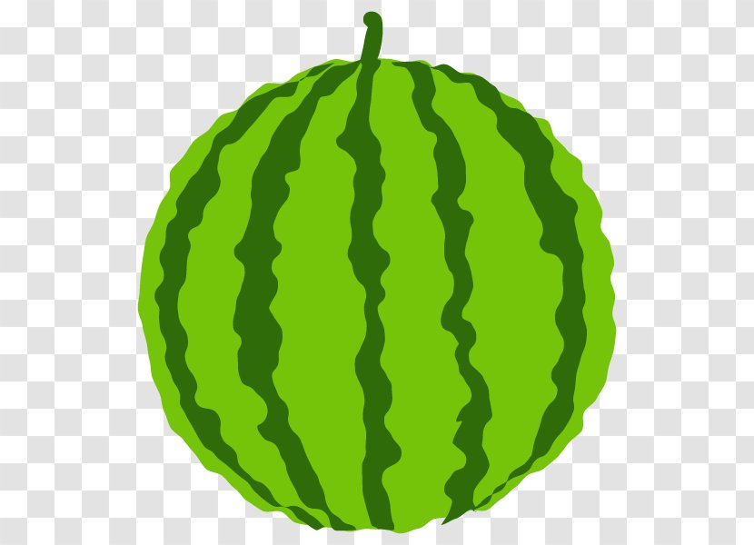 Gourd Winter Squash Watermelon Cucurbits - Cucumber And Melon Family - Cucurbita Transparent PNG