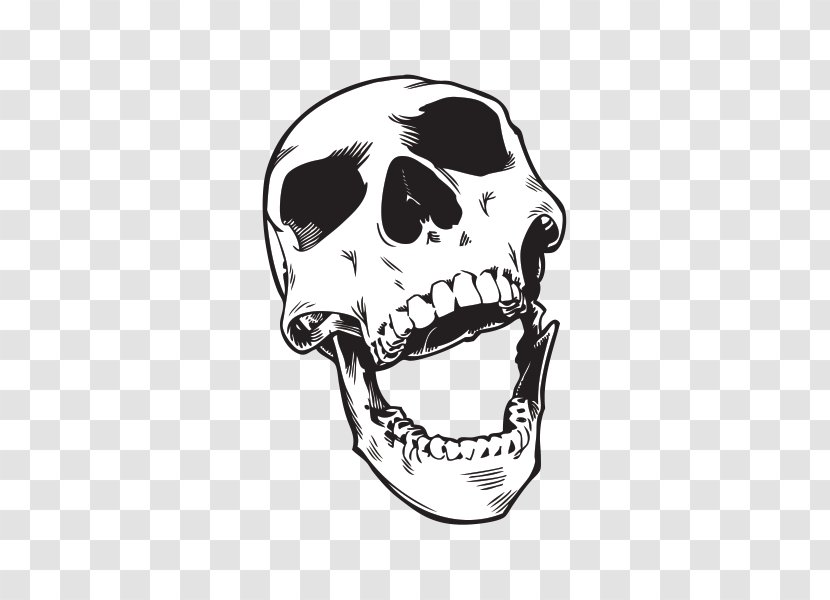 Skull Clip Art Image Sticker Vector Graphics - Bone Transparent PNG