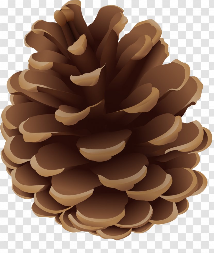 Conifer Cone Euclidean Vector Pine - Coffee Simple Transparent PNG