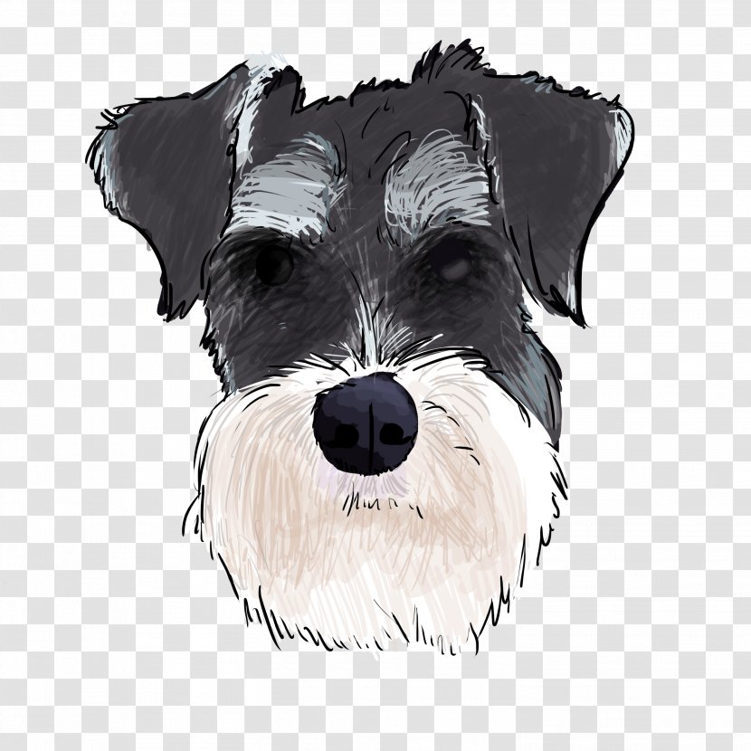 Miniature Schnauzer Standard Schnoodle Lakeland Terrier Dog Breed - Paw - German Shepherd Transparent PNG