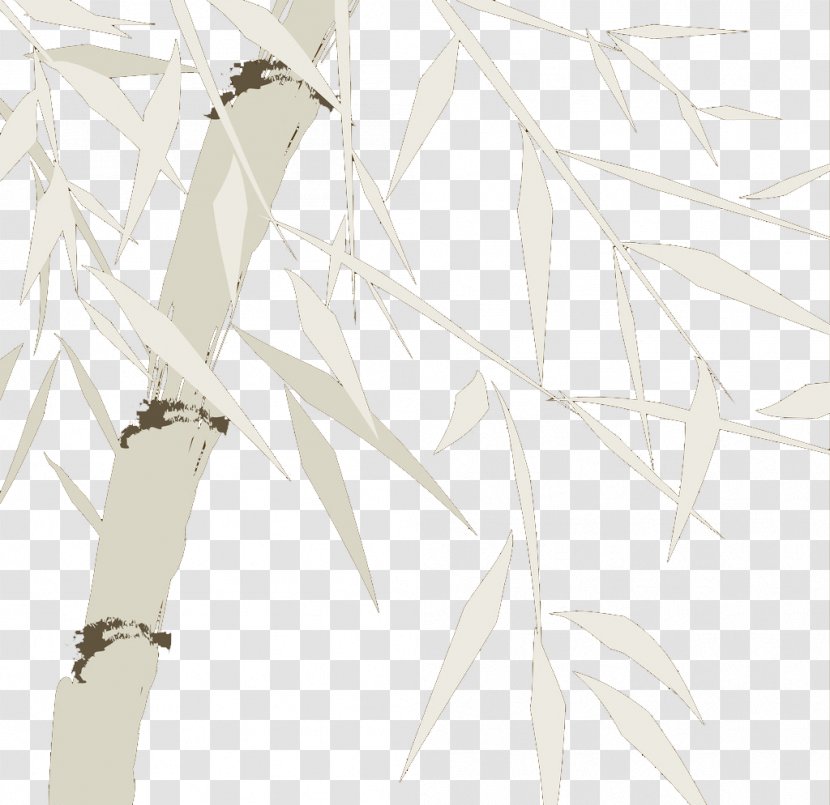 Bamboe Drawing Bamboo - Hand-painted Sketch Material Transparent PNG