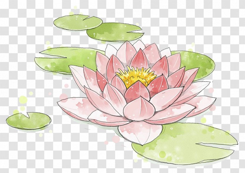 Watercolor Painting Nelumbo Nucifera - Color - Lotus Transparent PNG