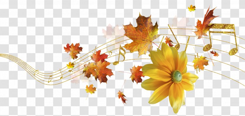 Flower Floral Design Still Life Photography Clip Art - Silhouette - Autumn Transparent PNG