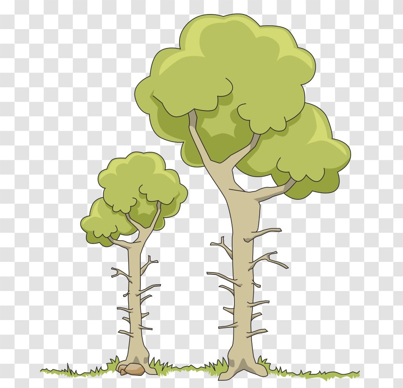 Tree Branch Clip Art - Green Transparent PNG