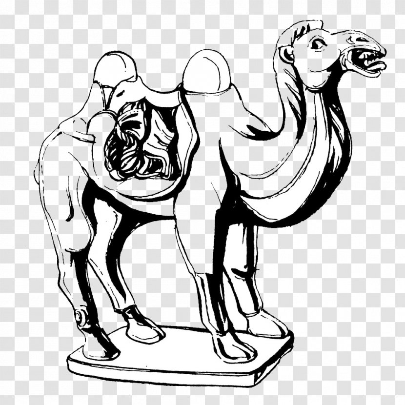 Camel Sculpture Painting Drawing Illustration - 3 Rodadas Transparent PNG