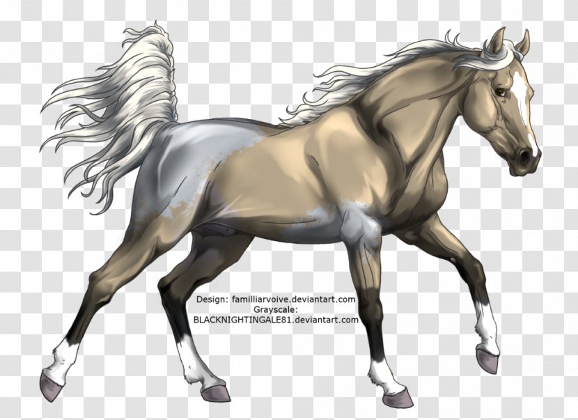 Mustang Mane Foal Stallion Pony - Gray Transparent PNG