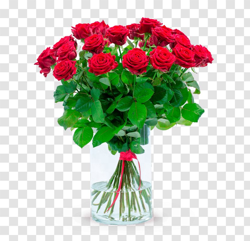 Garden Roses Interflora Czech Republic International Women's Day Flower - Rose Family Transparent PNG