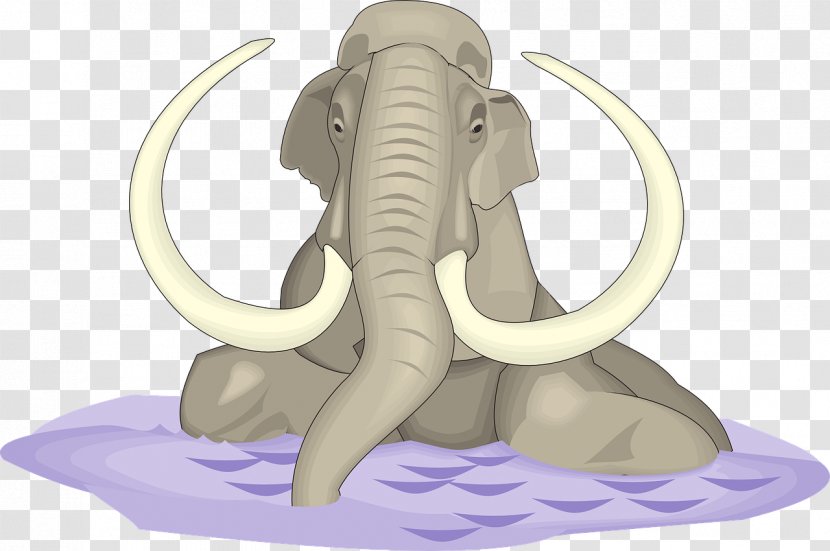 Indian Elephant African Tusk Elephantidae Clip Art - White - Tusks Transparent PNG