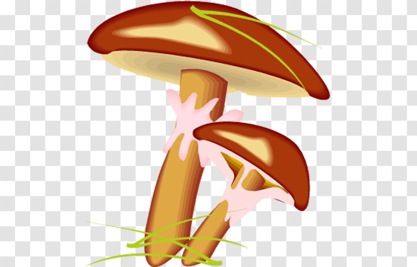 Suillus Luteus Mushroom Bovinus - Fungus Transparent PNG
