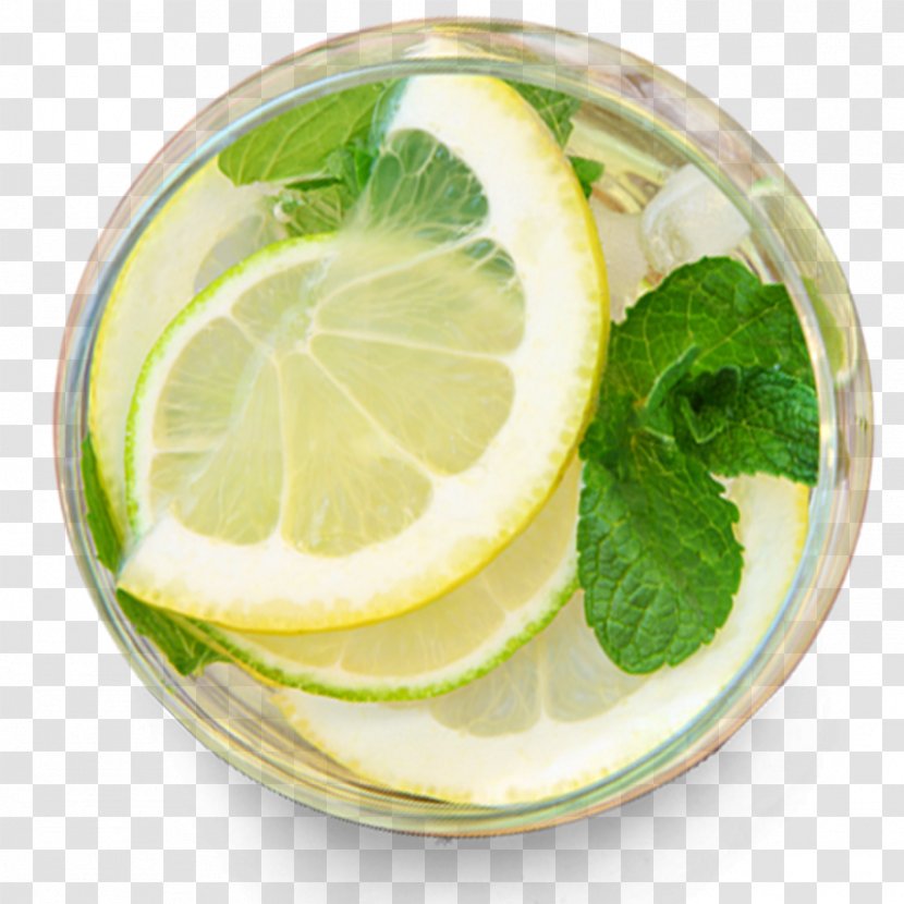 Juice Maghrebi Mint Tea Lemon Drink - Citrus Transparent PNG