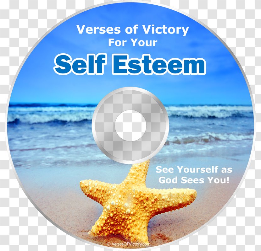 Chapters And Verses Of The Bible King James Version Self-esteem Respect - Self Esteem Transparent PNG