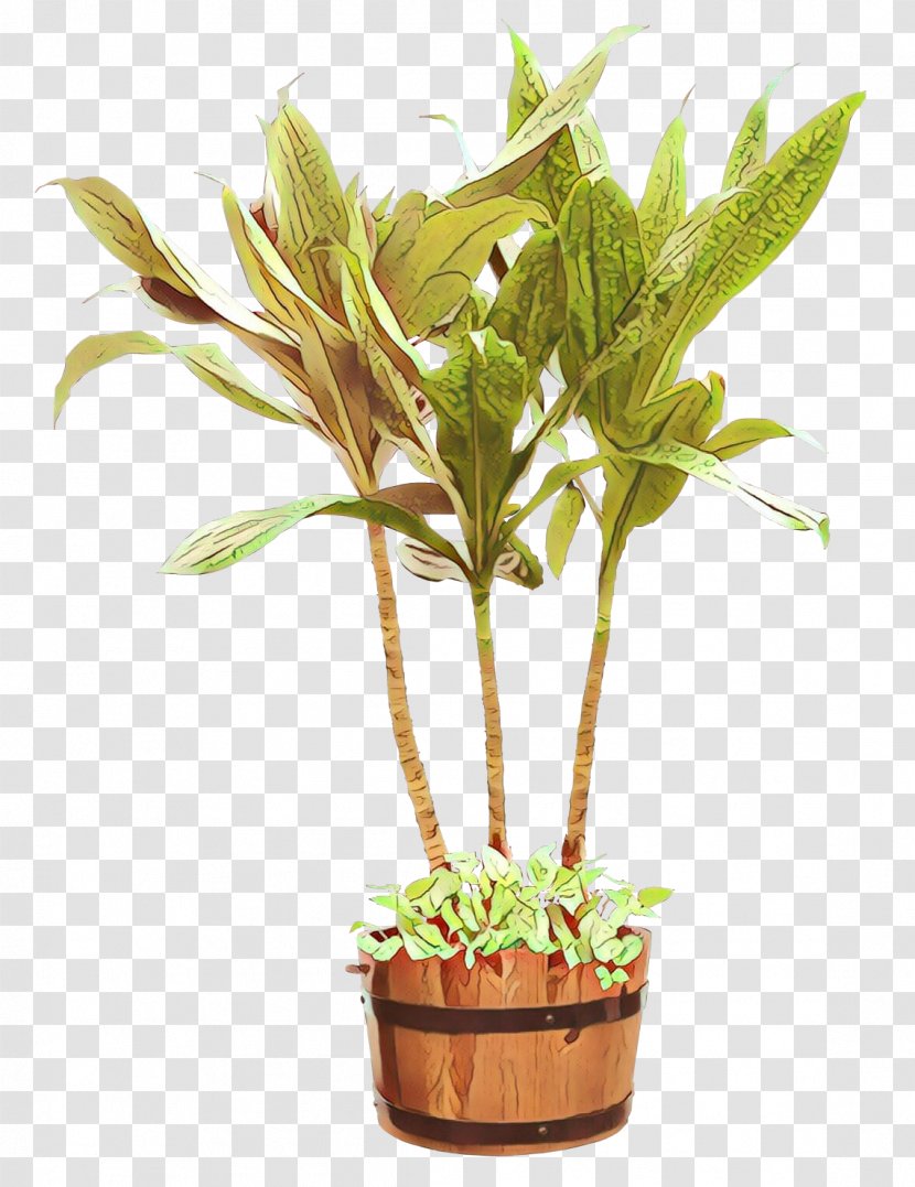 Houseplant Flowerpot Plant Stem Tree Herb Transparent PNG
