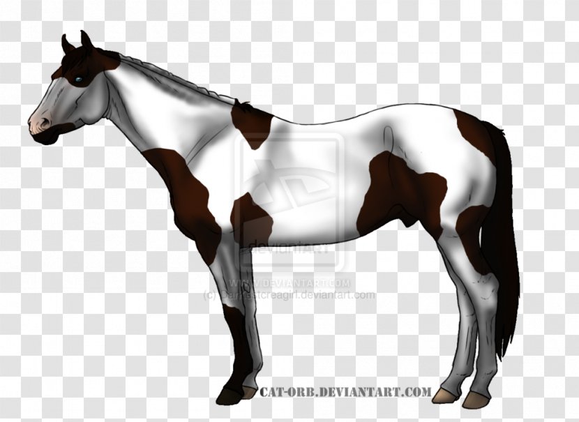 Mare Mustang Foal Rein Mane - Colt - Cat In The Hat On Aging Poster Transparent PNG