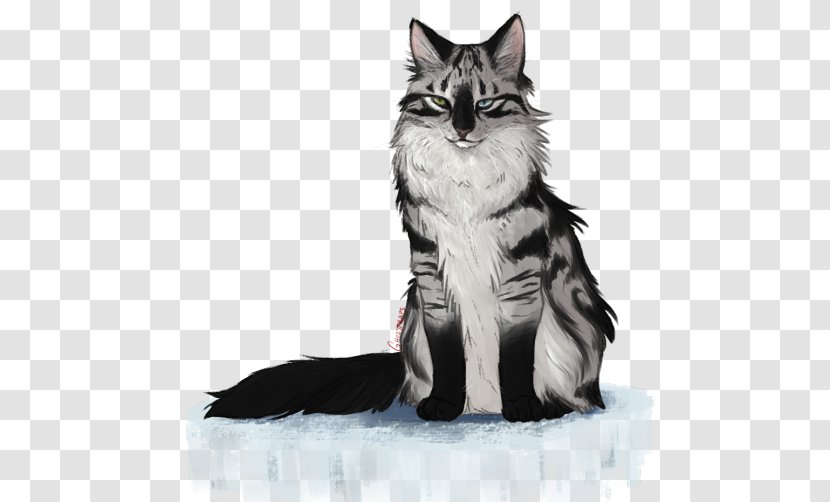 Maine Coon Norwegian Forest Cat Kitten Whiskers Domestic Short-haired - Animal - Disguise Transparent PNG