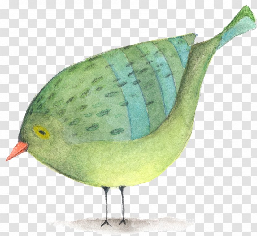 Bird Paper Icon - Canvas - Cartoon Transparent PNG