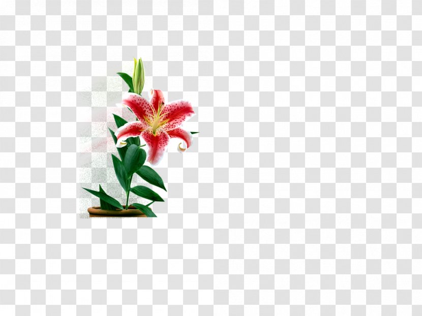 Cut Flowers Floral Design Clip Art - Flowerpot - Colorful Transparent PNG
