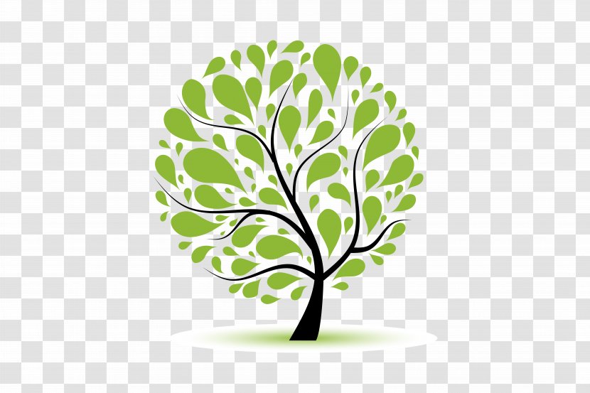 Wedding Vow Renewal Ceremony Funeral Celebrant - Family - Tree Transparent PNG