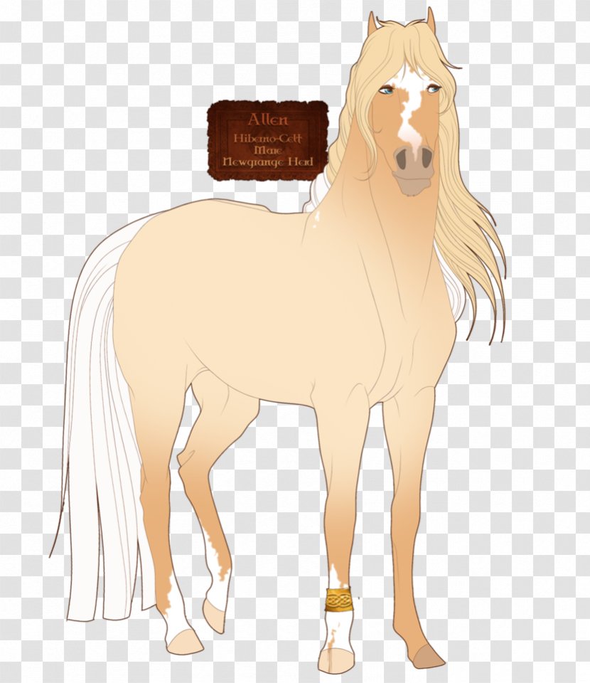 Mane Mustang Foal Stallion Colt - Animal Figure Transparent PNG