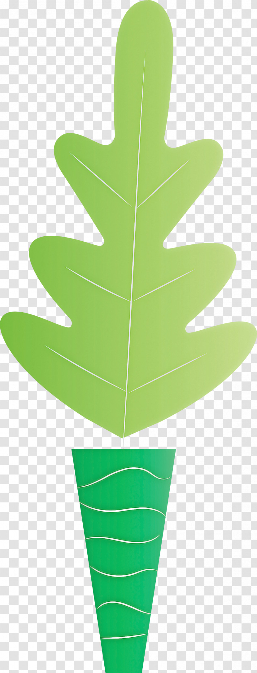 Leaf Plant Stem Geometry Line Leaf Angle Distribution Transparent PNG