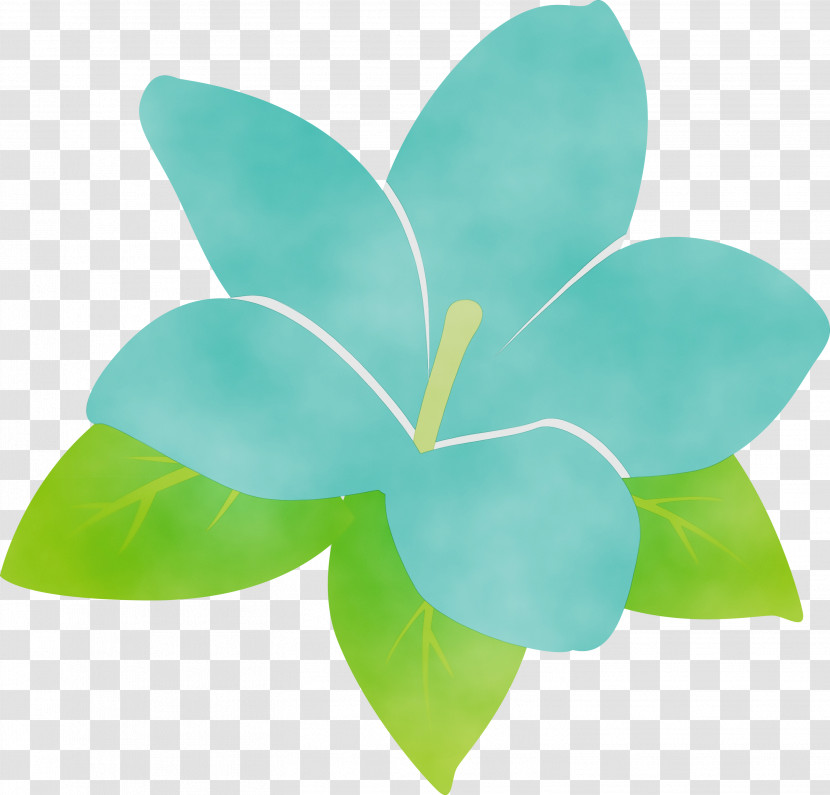 Leaf Petal Turquoise M Green Flower Transparent PNG