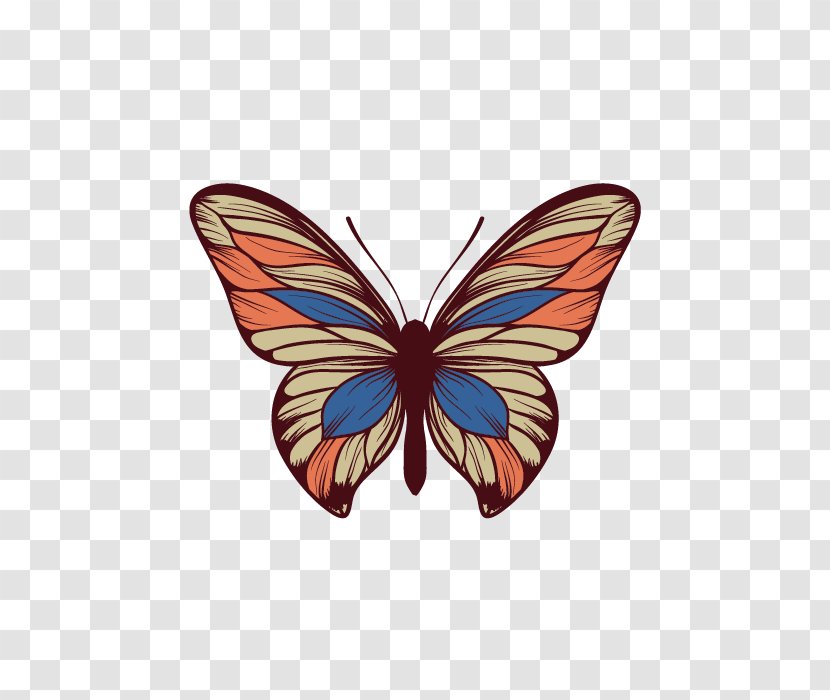 Butterfly - Insect - Vector Colorful Transparent PNG